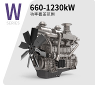 發(fā)電用W系列配套動(dòng)力