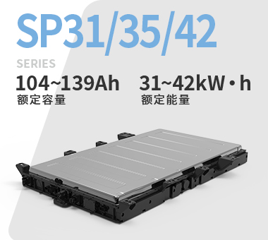 SP31-35-42